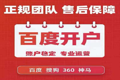 SEM推广实战：成功案例剖析